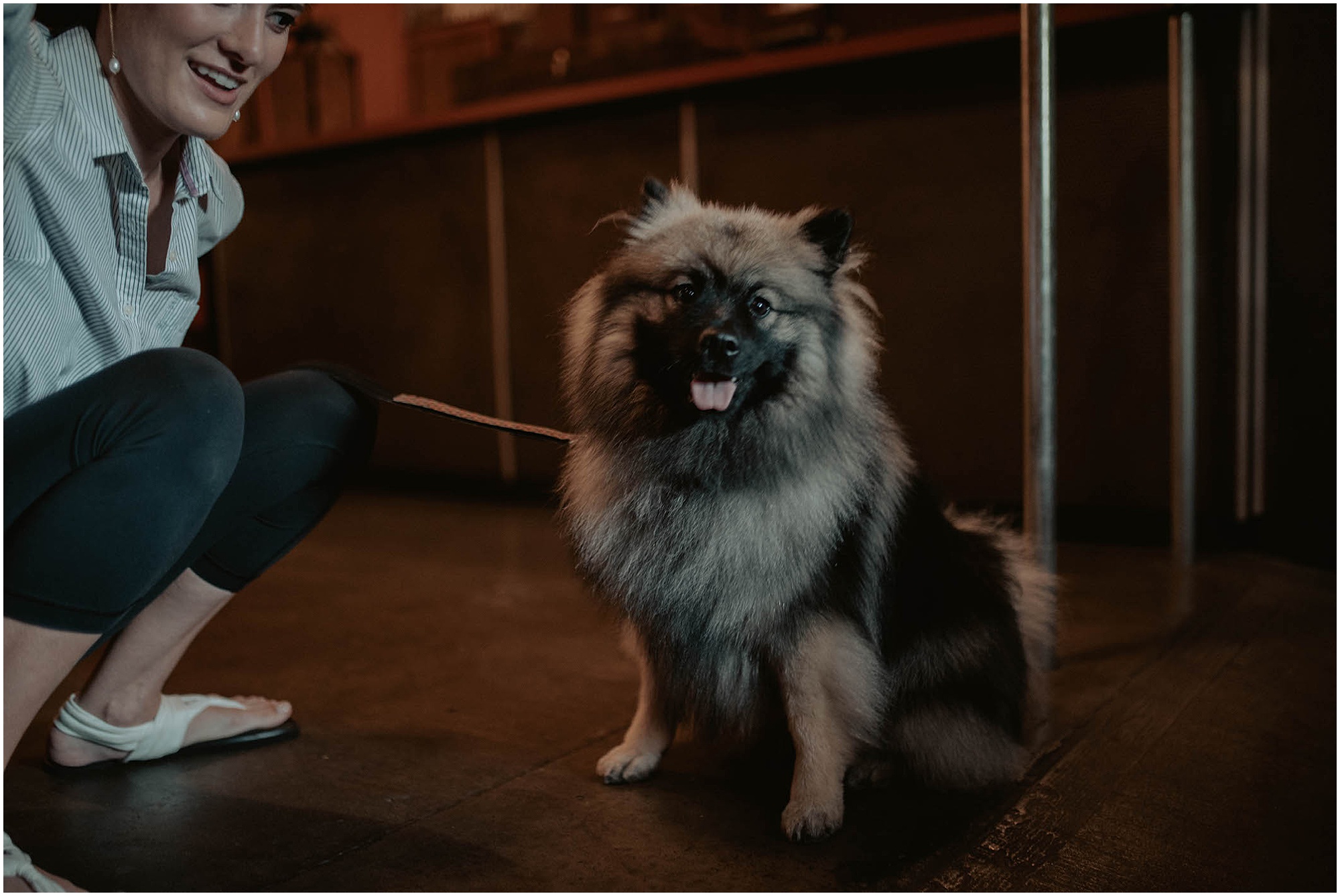 bride and dog on wedding day