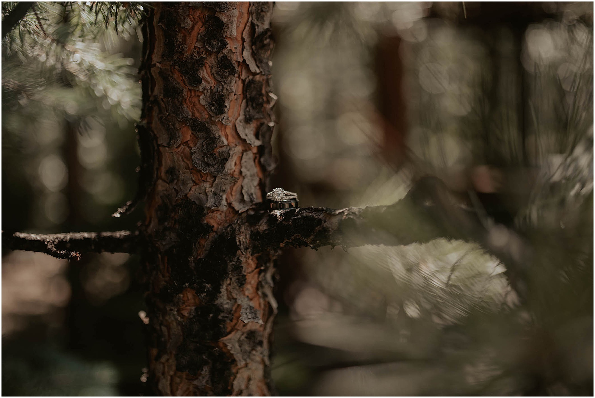 Estes-Park-Colorado, Estes-Park-Wedding, Estes-Park-Wedding-Photos, Estes-Park-Condos, Estes-Park-Condos-Wedding, Estes-Park-Wedding-Photographer, Colorado-Wedding-Photographer, Colorado-Wedding, Denver-Colorado-Wedding-Photographer, Outdoor-Wedding, Denver-Wedding-Photos, Colorado-Wedding, Colorado-Wedding-Pics, Mountain-Wedding, Colorado-Summer-Wedding, Lake-Wedding, Mountain-Wedding-Photos, Washington-Wedding-Photographer, Adventure-Wedding, CO-Wedding, CO-Wedding-Photographer, Elopement-Photographer, Estes-Park-Colorado,