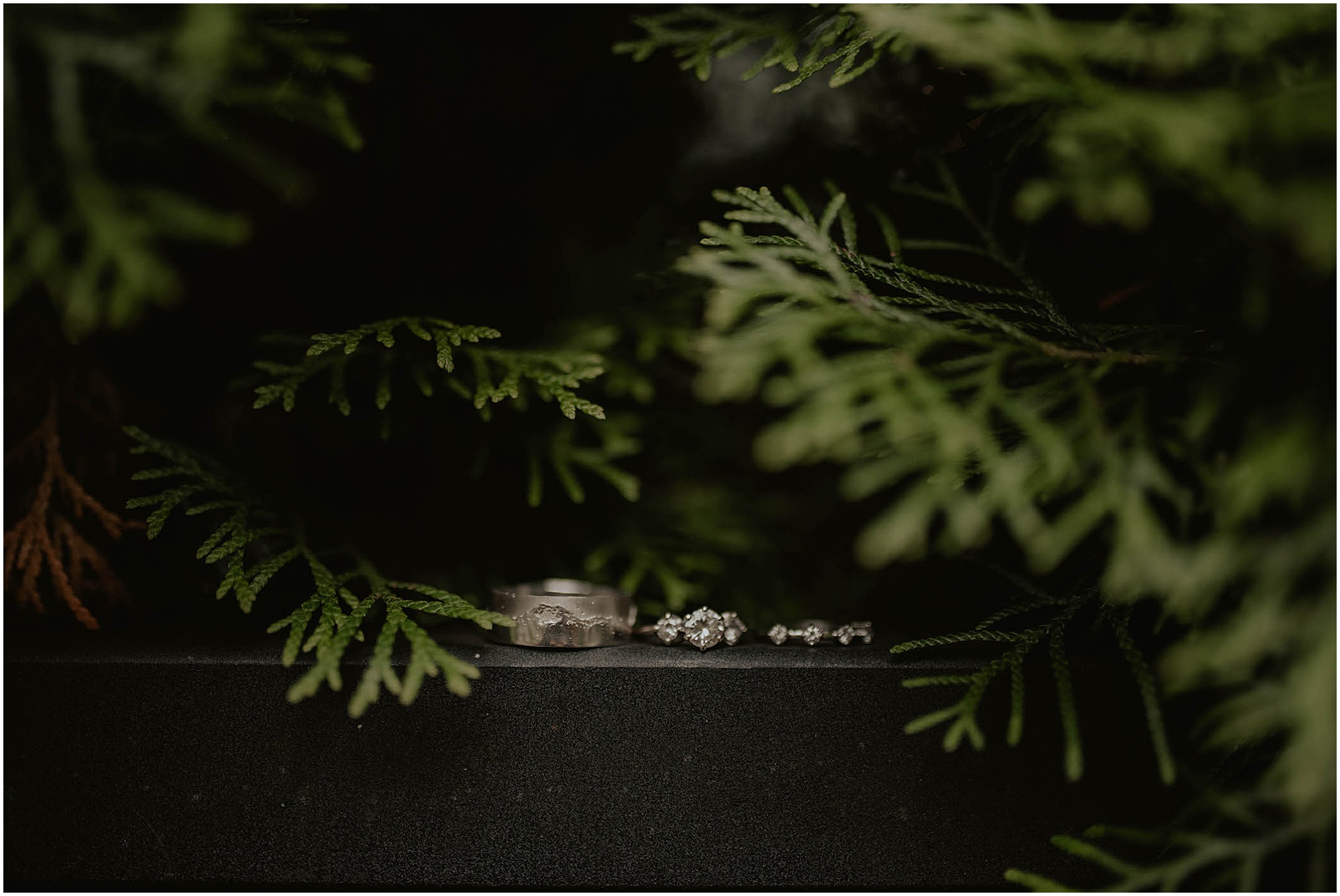 Bainbridge-Island, Bainbridge-Island-Wedding, Bainbridge-Island-Wedding-Photos, Manor-House-Bainbridge, Manor-House-Wedding, Manor-House-Wedding-Photos, Bainbridge-Island-Wedding-Photographer, Seattle-Wedding, Seattle-Wedding-Photographer, Outdoor-Wedding, Bainbridge-Wedding-Photographer, Washington-Wedding, Isaland-Wedding, Manor-House-Wedding-Photos, Olympic-Park-Wedding, Lake-Wedding, Puget-Sound-Wedding, Bainbridge-Wedding, Washington-Wedding-Photographer, Adventure-Wedding, Hiking-Wedding, Hike-Wedding, Manor-House-Venue, Washington-Wedding-Venue,