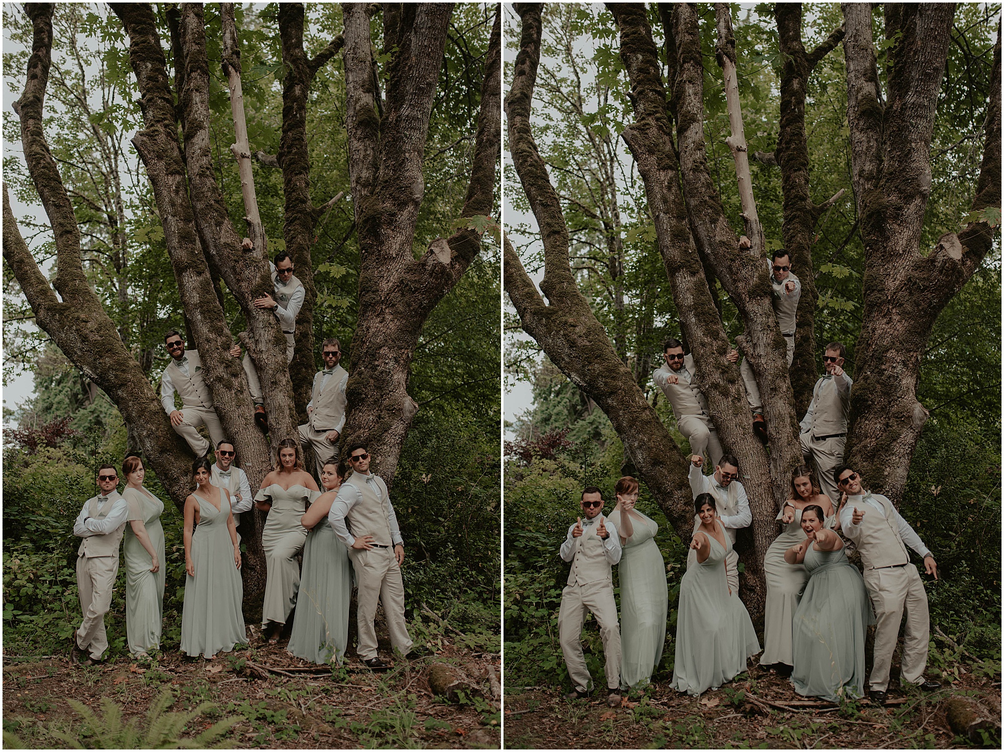 Bainbridge-Island, Bainbridge-Island-Wedding, Bainbridge-Island-Wedding-Photos, Manor-House-Bainbridge, Manor-House-Wedding, Manor-House-Wedding-Photos, Bainbridge-Island-Wedding-Photographer, Seattle-Wedding, Seattle-Wedding-Photographer, Outdoor-Wedding, Bainbridge-Wedding-Photographer, Washington-Wedding, Isaland-Wedding, Manor-House-Wedding-Photos, Olympic-Park-Wedding, Lake-Wedding, Puget-Sound-Wedding, Bainbridge-Wedding, Washington-Wedding-Photographer, Adventure-Wedding, Hiking-Wedding, Hike-Wedding, Manor-House-Venue, Washington-Wedding-Venue,