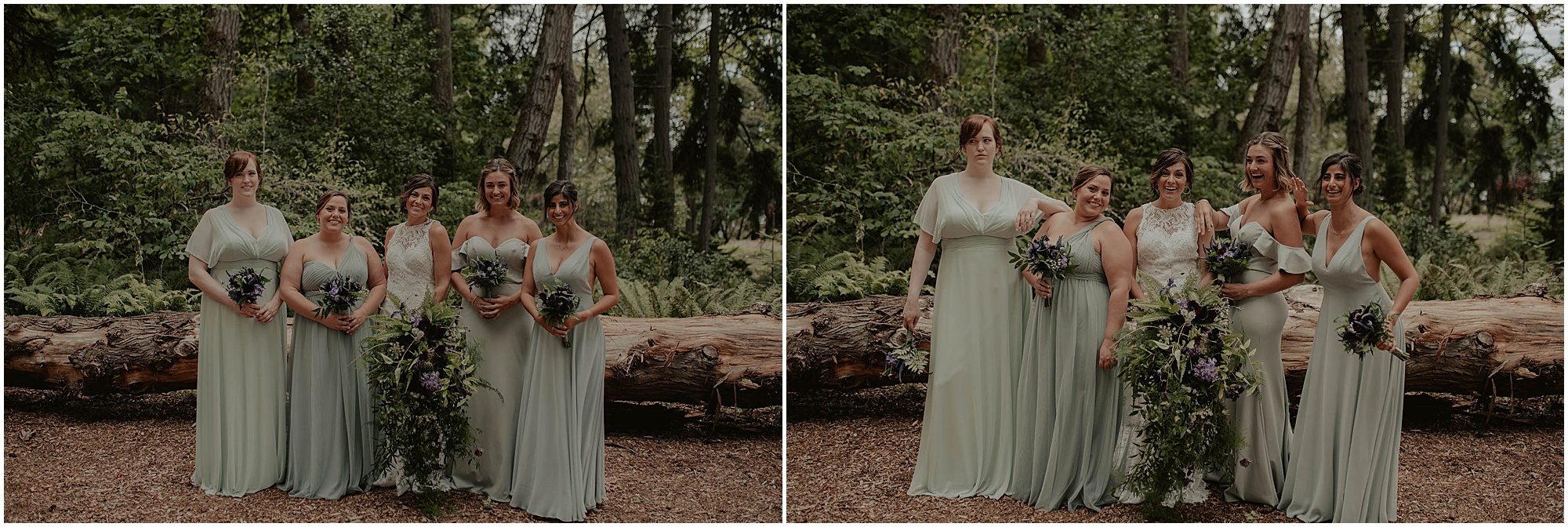 Bainbridge-Island, Bainbridge-Island-Wedding, Bainbridge-Island-Wedding-Photos, Manor-House-Bainbridge, Manor-House-Wedding, Manor-House-Wedding-Photos, Bainbridge-Island-Wedding-Photographer, Seattle-Wedding, Seattle-Wedding-Photographer, Outdoor-Wedding, Bainbridge-Wedding-Photographer, Washington-Wedding, Isaland-Wedding, Manor-House-Wedding-Photos, Olympic-Park-Wedding, Lake-Wedding, Puget-Sound-Wedding, Bainbridge-Wedding, Washington-Wedding-Photographer, Adventure-Wedding, Hiking-Wedding, Hike-Wedding, Manor-House-Venue, Washington-Wedding-Venue,