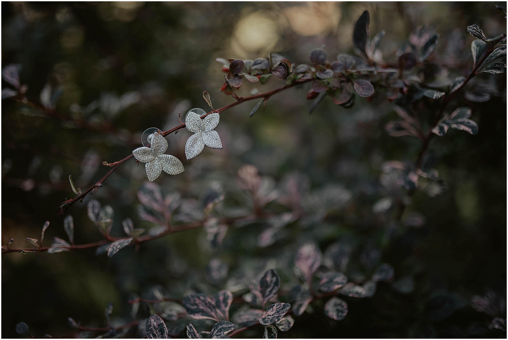 brides earrings, brides wedding details, 