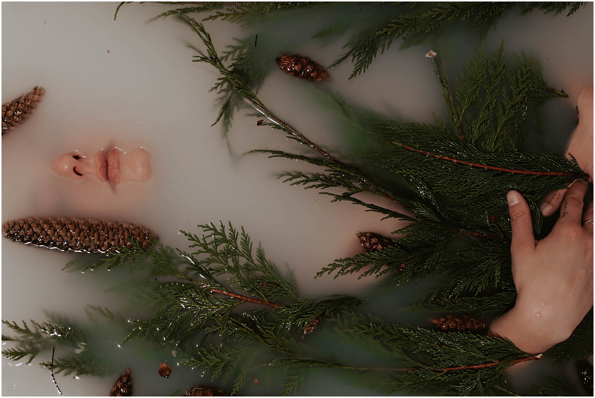 laying in bathtub with evergreen tree