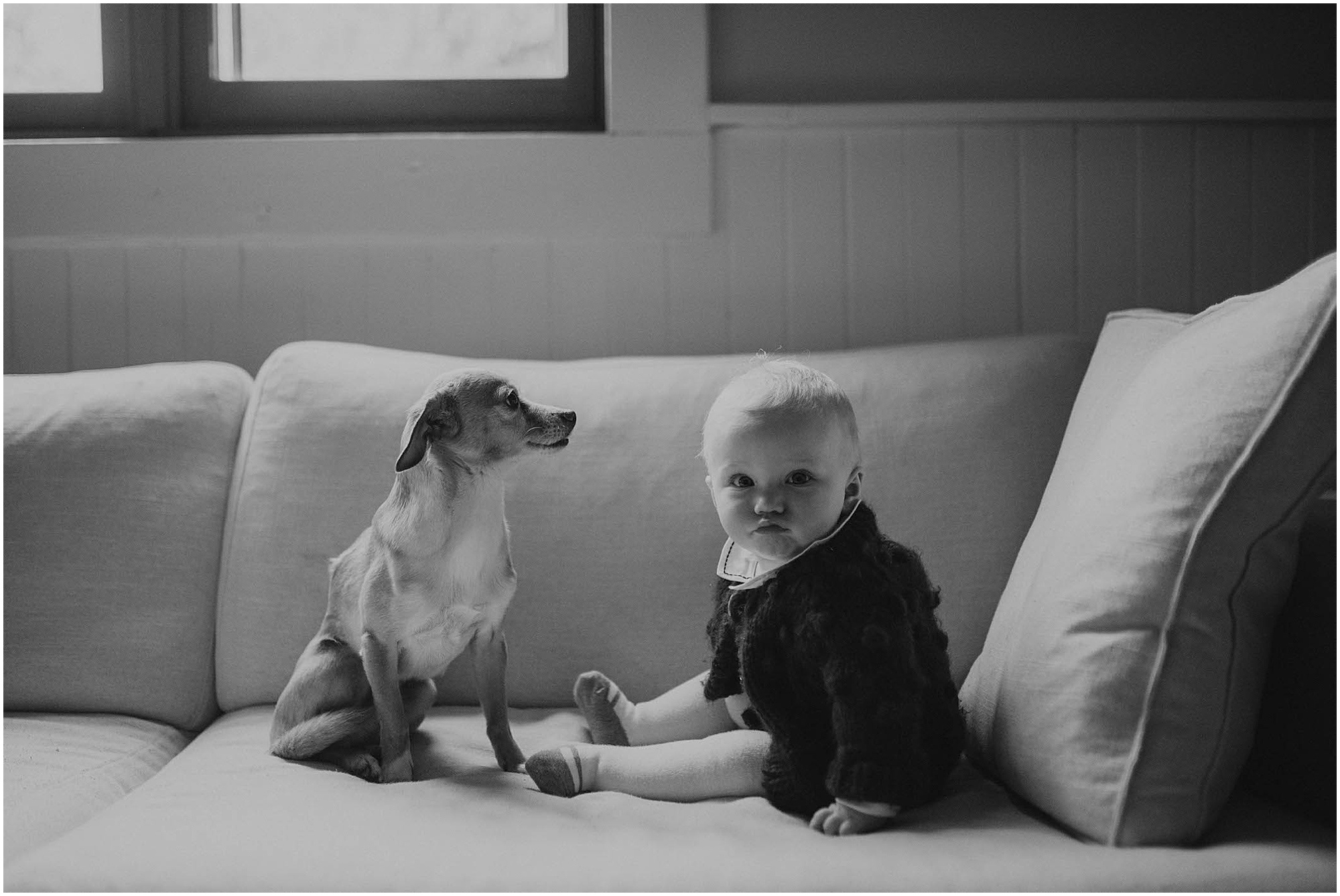 baby and a dog, at home family photos,