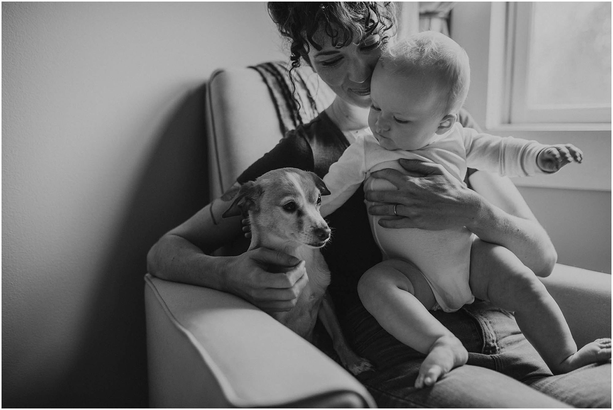 family on chair with small dog, dog and baby, 2020,
