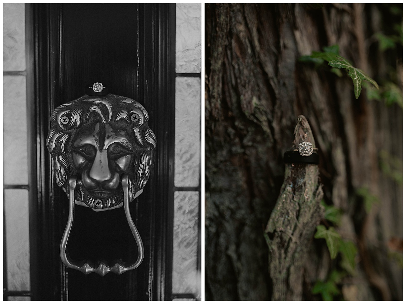 bride and grooms wedding rings on tree in bainbridge island 