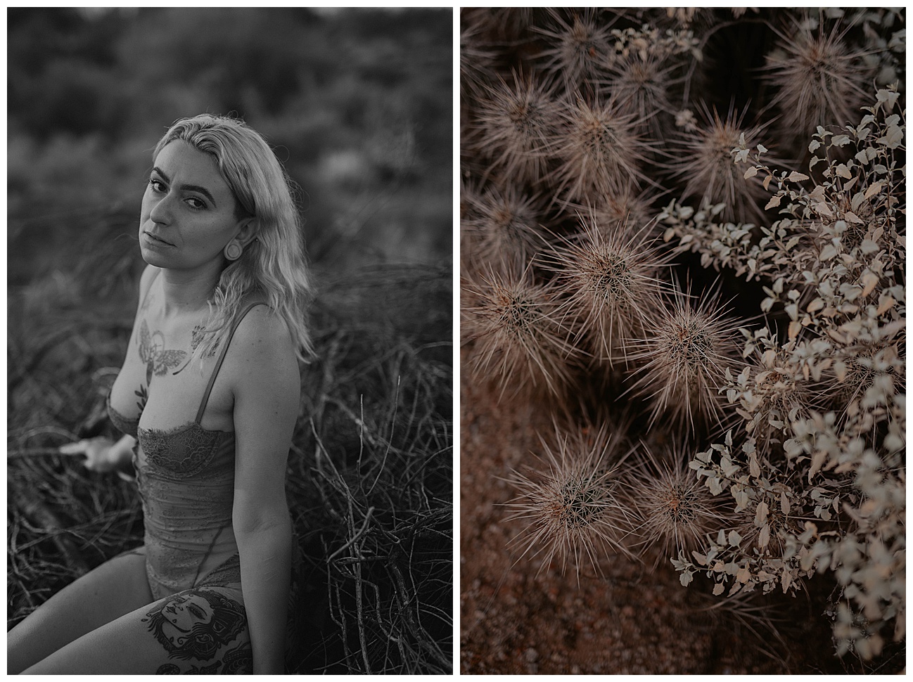 desert cactus in arizona, black and white boudoir