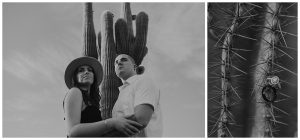 wedding rings, cactus, arizona desert,