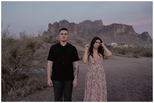 sunset, arizona desert, cactus, pink skies,