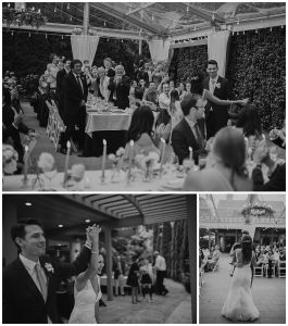 wedding reception, wedding entrance, first dance