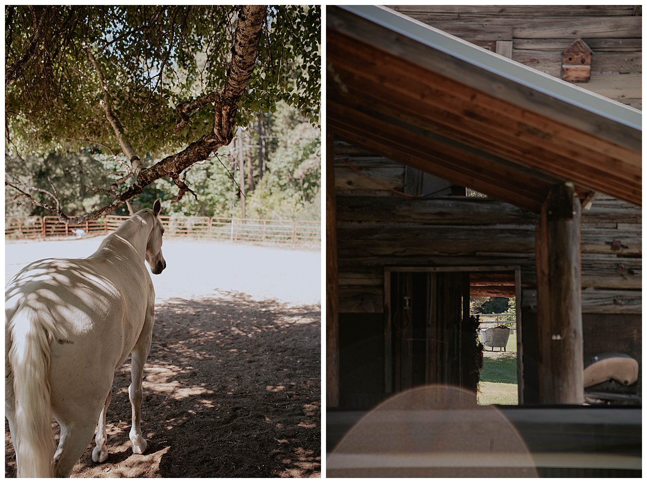 brown family homestead venue 