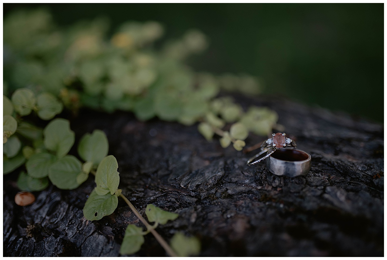 bride and grooms wedding rings on log with green leaves