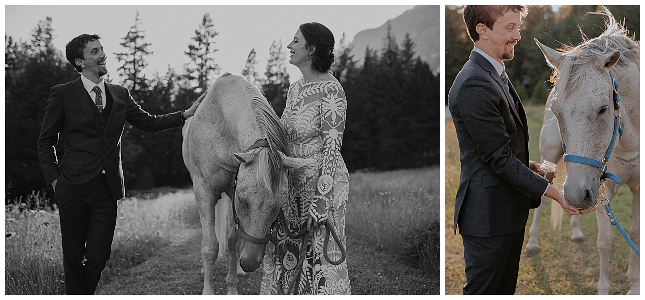 bride and groom standing in golden hour light with a white horse in the mountains 